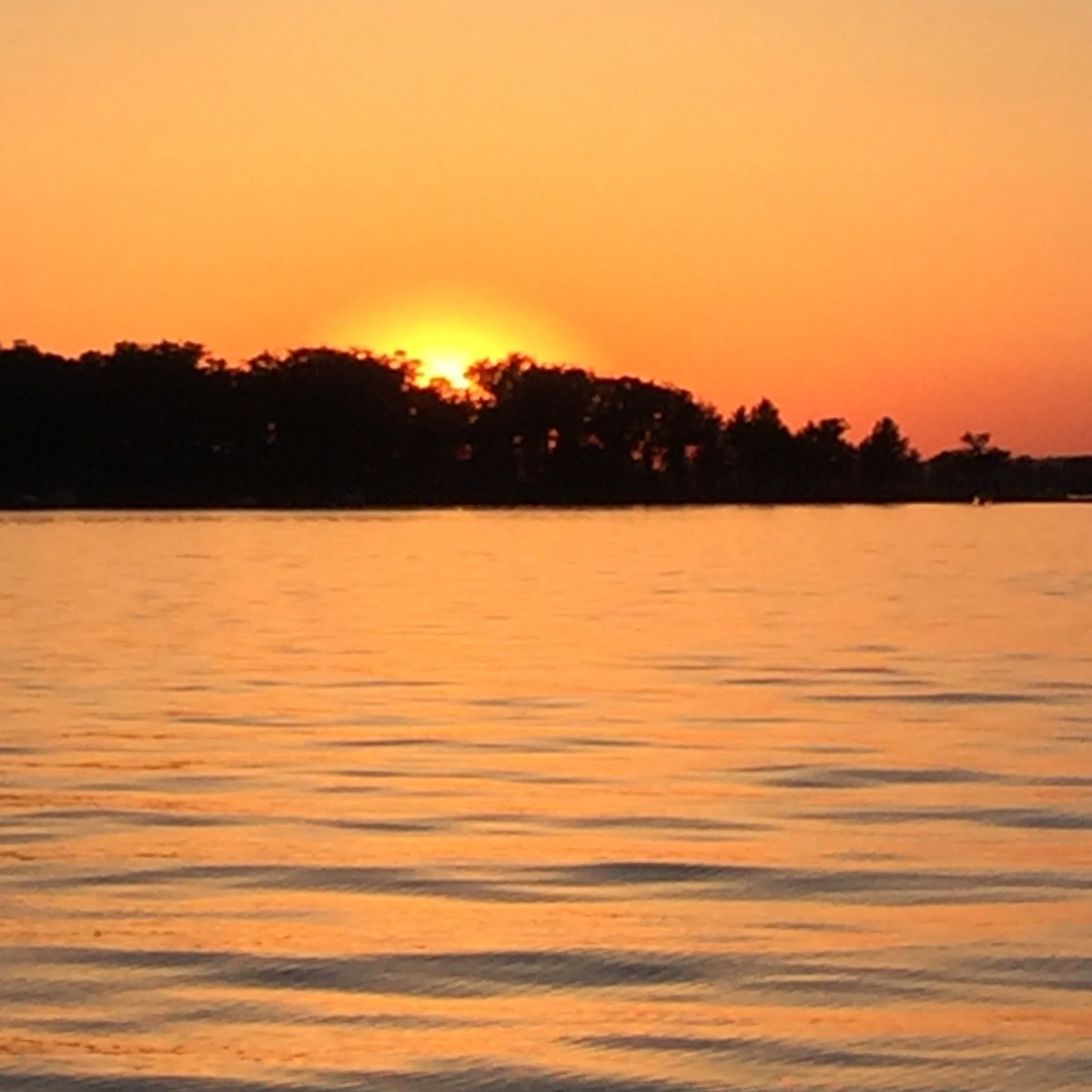 Chicken Soup for the&nbsp;Mono